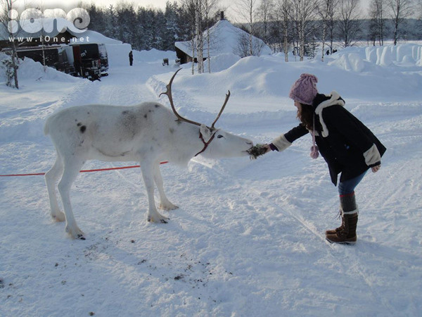 Chị Phương Giang đã có nhiều trải nghiệm thú vị ở đất nước Phần Lan trong 8 năm sinh sống và học tập tại đây. 12021847-10153118337947322-626-6413-3475
