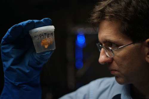 trieu-phu-nga-tham-vong-bien-con-nguoi-thanh-bat-tu-1