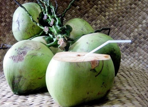 Bầu bí sao cứ phải uống nước dừa?