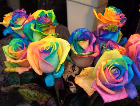 4 cach de con ban tro thanh mot dua tre sang tao. - Anh 2