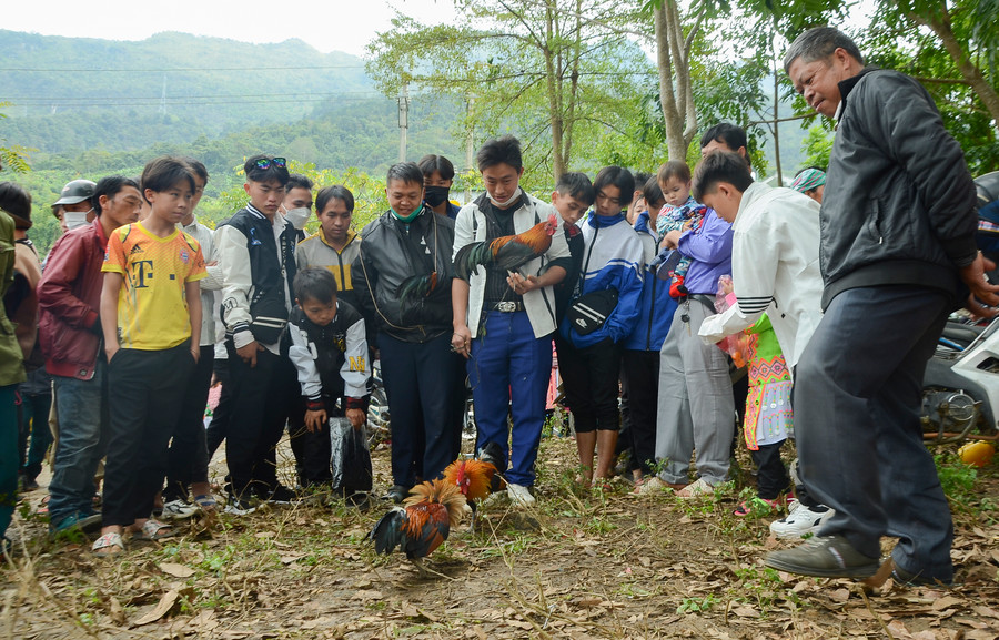 Hoặc thể hiện sức mạnh qua màn &quot;chọi thử&quot;.