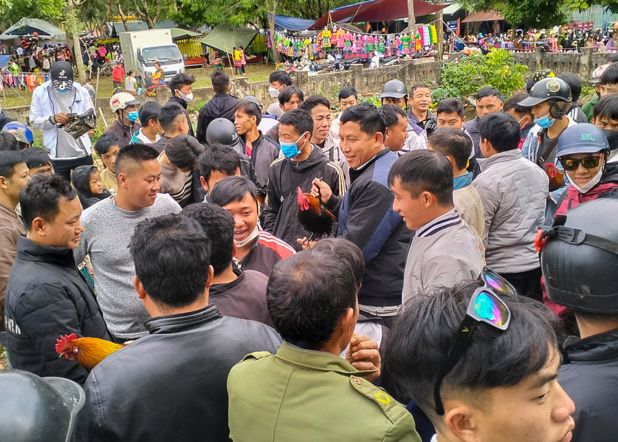 Tại các hội xuân ở vùng cao thường có góc riêng dành cho những người đam mê gà rừng.