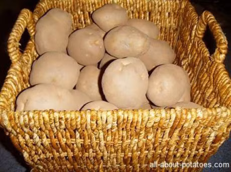 Bao quan trai cay tuoi bang nhung meo don gian - Anh 11