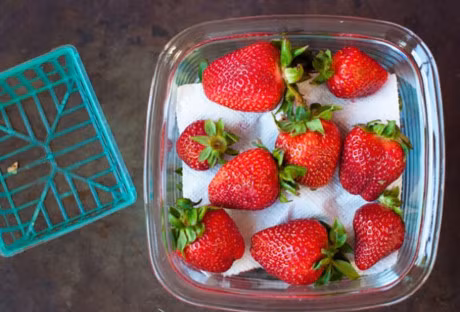 Bao quan trai cay tuoi bang nhung meo don gian - Anh 2