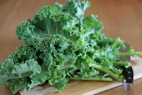 Mách nhỏ cách trồng cải xoăn kale trong thùng xốp - Ảnh 1 Mach nho cach trong cai xoan kale trong thung xop - Anh 1