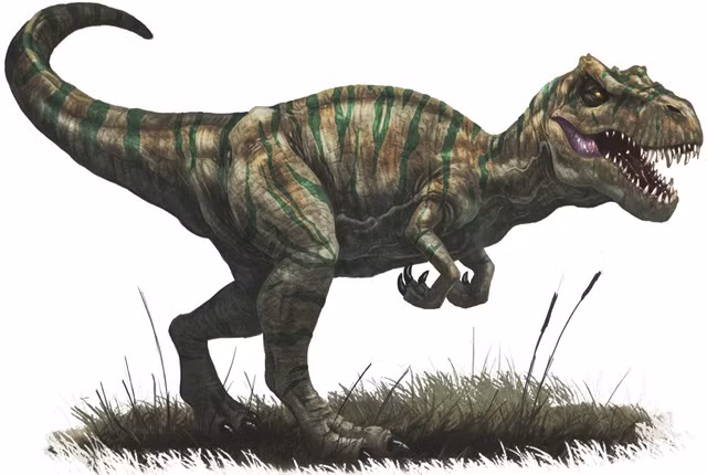  Loài Allosaurus cuối cùng cũng đã phải cúi gầm trước trí khôn của vị vua mới, loài Tyrannosaurus. 