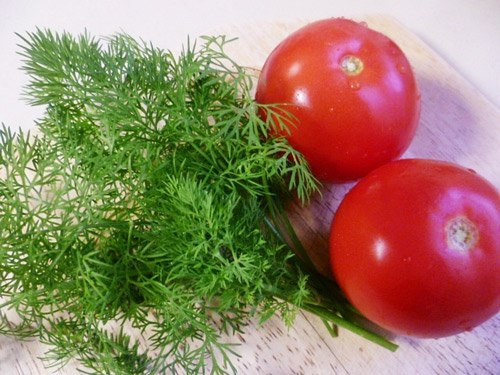 Công dụng chữa bệnh tuyệt vời của rau thì là