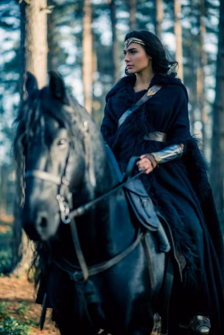 He lo 5 bi mat ve nhan vat Wonder Woman - Anh 8