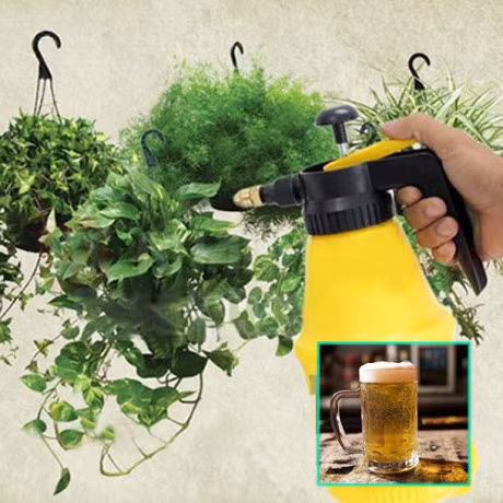 Thuc hu viec dung bia tuoi cho cay trong cho nang suat cao va cay phat trien khoe manh - Anh 2