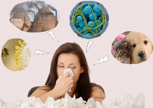 Bệnh viêm mũi dị ứng thường khó thể chữa dứt điểm và ảnh hưởng không nhỏ đến cuộc sống người bệnh. Ảnh minh họa
