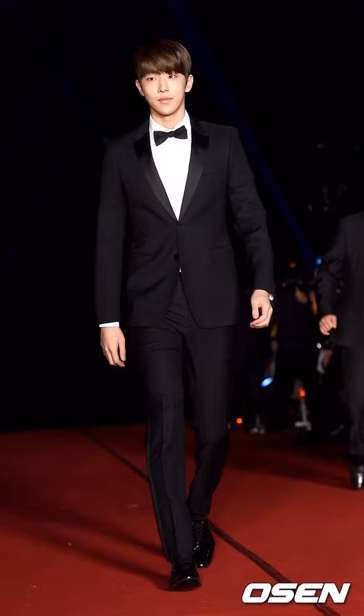 Thảm đỏ APAN Star Awards 2015