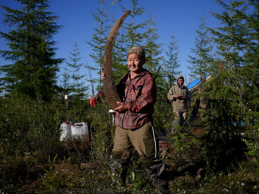 Sừng tê giác nặng 2,4kg được bán với giá 14.000 USD. Nhiều người muốn mua loại sừng này vì tưởng rằng có thể nghiền ra làm thuốc
