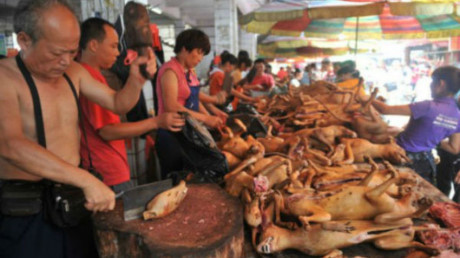Trung Quốc vận động người dân không công khai giết chó ở lễ hội thịt chó lớn nhất nước - Ảnh 1 Trung Quoc van dong nguoi dan khong cong khai giet cho o le hoi thit cho lon nhat nuoc - Anh 1