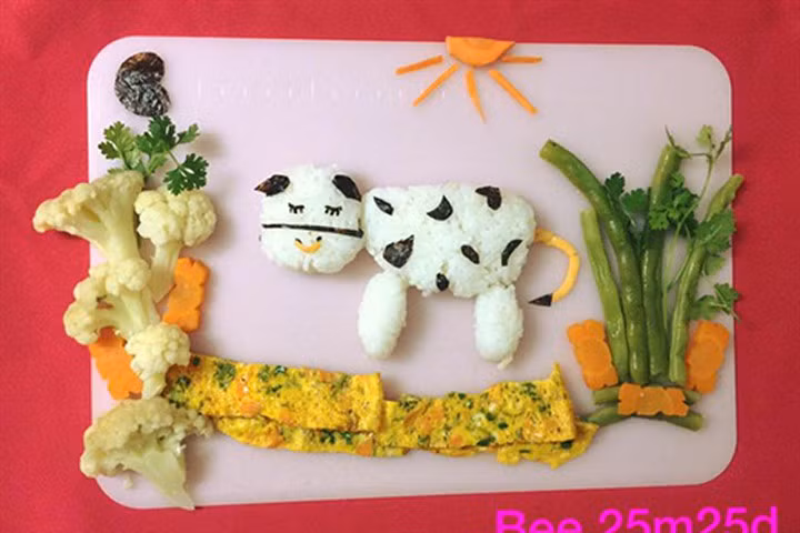 Học lỏm mẹ Việt cách trang trí món ăn dặm cho con đầy màu sắc