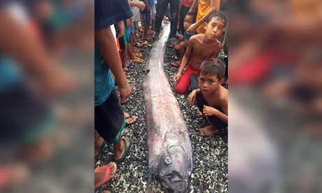 Ca rong bien lien tiep dat vao Philippines, gay lo ngai ve dong dat - Anh 1