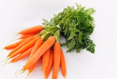 12 rau cu qua thanh loc gan ban nen an hang tuan - Anh 3