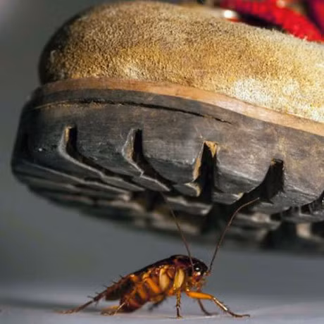 Bo ngay thoi quen dung dep dap gian neu khong muon 