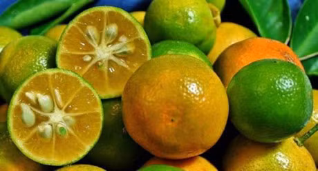 9 ly do tuyet voi de ban trong cay quat lay qua an hang ngay - Anh 2