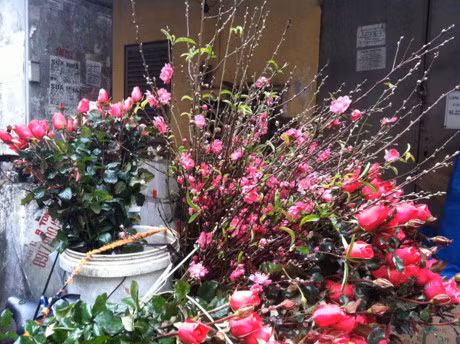 Ram thang Gieng: Dao Nhat Tan cuoi mua xuong pho - Anh 2