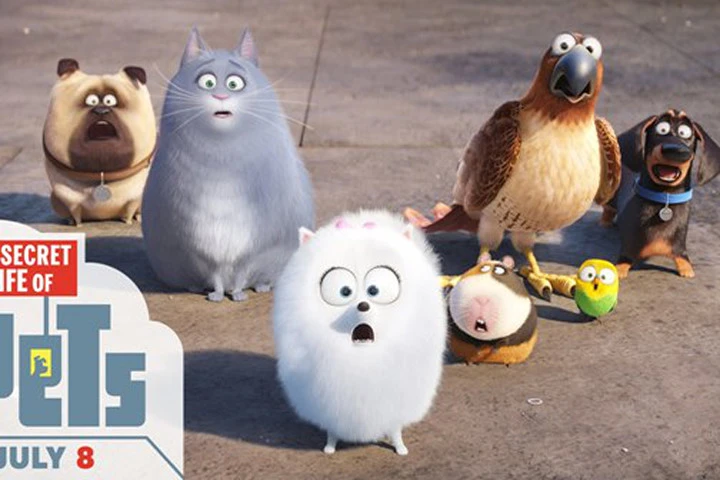 Bật mí loạt chi tiết cực thú vị trong bộ phim hoạt hình "The Secret Life of Pets"