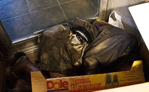 Có những đêm Kim không thể tìm thấy cha. Nhưng cũng có những ngày khi cô ít mong đợi nhất thì cô lại tình cờ nhìn thấy ông đứng co ro trên phố. Ông bị tâm thần phân liệt nặng, và từ chối tất cả sự giúp đỡ của người khác, trong đó có Kim. Hành trình hàn gắn tình cha xúc động của nữ nhiếp ảnh trẻ