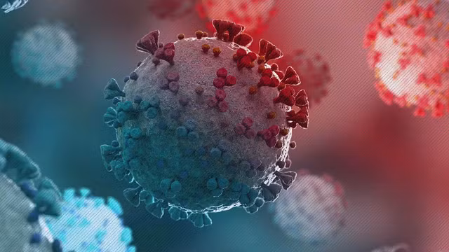 Biến thể Omicron có thể lây nhanh gấp 500% so với biến thể Delta.