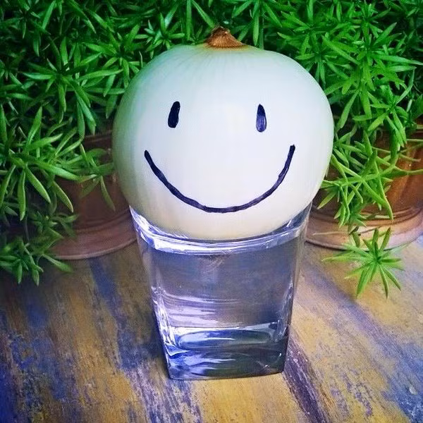 12188962_1064146010285795_2801993016961667821_n-84dc7