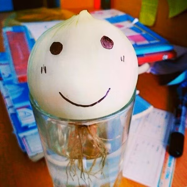 12191690_1064145860285810_2791907287356035606_n-84dc7