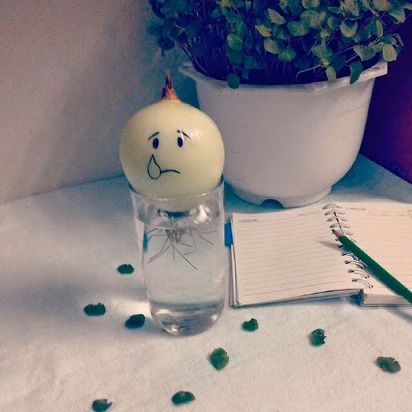 12190127_1064145710285825_2627306611630857789_n-84dc7