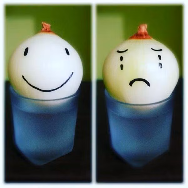 11221407_1064145633619166_1776804060947781854_n-84dc7