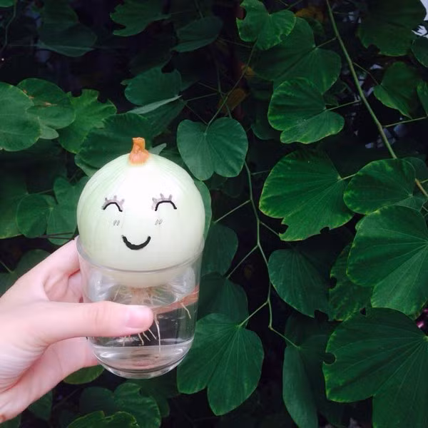 11923611_534403616719006_8442005001078872393_n-40cfd