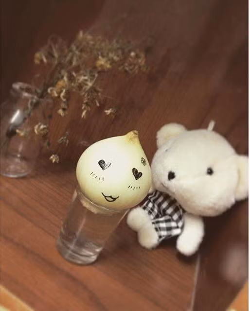 12187666_1064145953619134_6342291883840124354_n-84dc7