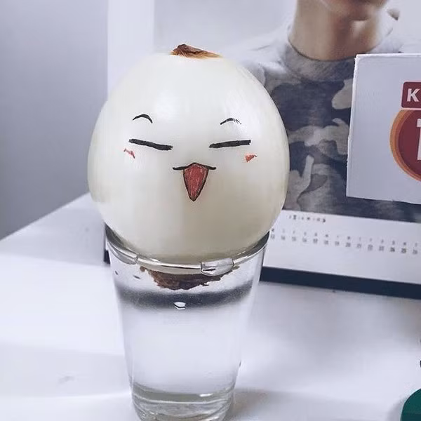 1001 biểu cảm siêu “cute” của hành tây theo phong cách “She was pretty“