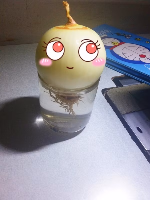 12043077_1662454717302642_9066472960360009983_n-84dc7