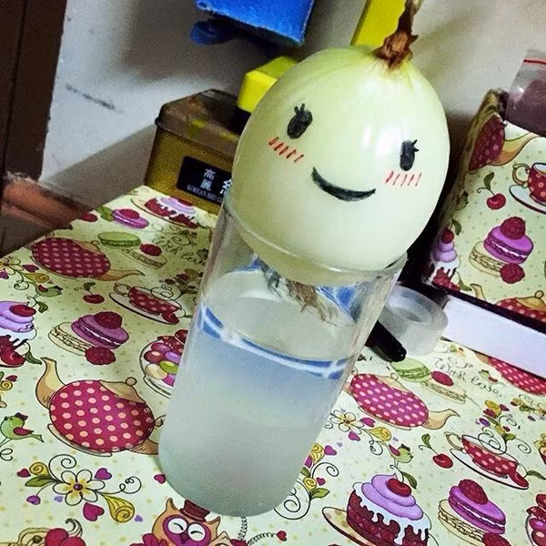 12189927_1064145910285805_222718863244326962_n-84dc7