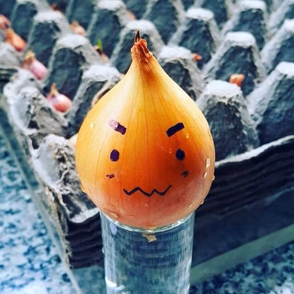 11752426_1064145663619163_1971439385210856169_n-84dc7