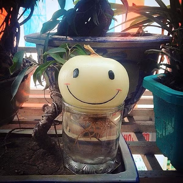 12037933_1064145886952474_7515995881489921834_n-84dc7