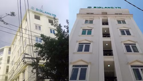 Võ Phi Nhật Huy, Triệu Phú, big land, big success, big group Võ Phi Nhật Huy, Triệu Phú, big land, big success, big group