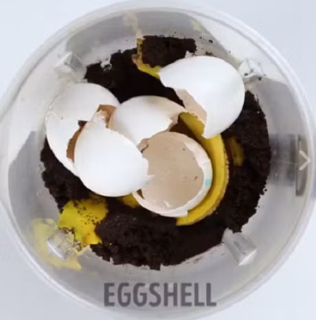 Bo vo chuoi va trung vao cay chet heo, dieu ky la bong xay ra - Anh 2