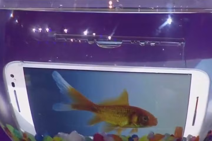 10 bước để cứu điện thoại bị dính nước