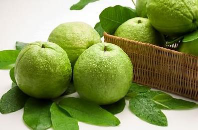7 loại quả mùa thu cực tốt cho sức khỏe - Ảnh 2 7 loai qua mua thu cuc tot cho suc khoe - Anh 2