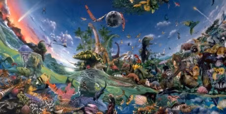 9 ly do chung minh thuyet tien hoa cua Darwin la sai lam - Anh 3