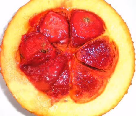 Nhung bai thuoc chua benh tuyet voi don gian tu qua gac - Anh 1