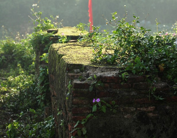 Dấu tích còn lại của chùa Hoằng Phúc