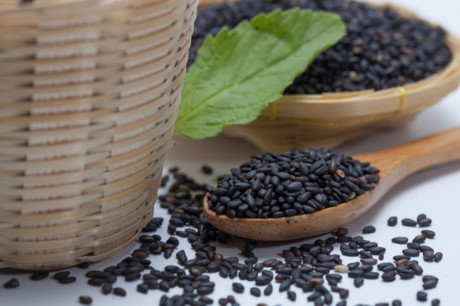 Hướng dẫn cách trồng rau mầm mè đen tươi ngon - Ảnh 1 Huong dan cach trong rau mam me den tuoi ngon - Anh 1