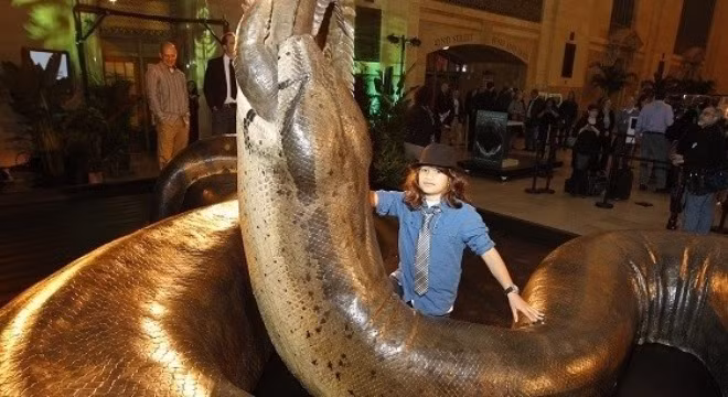 Những loài trăn sinh ra đã được quyết định thành quái vật khổng lồ