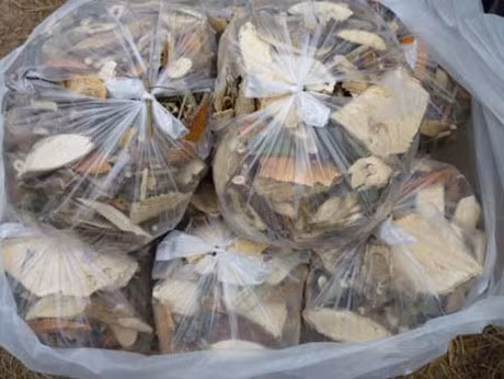 Tuyet doi khong dung thuoc Nam chua benh dai - Anh 1