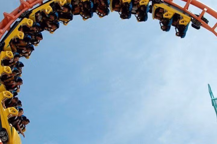 Đu quay giúp chữa khỏi bệnh sỏi thận