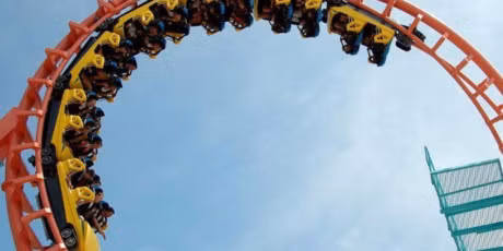 Du quay giup chua khoi benh soi than - Anh 1