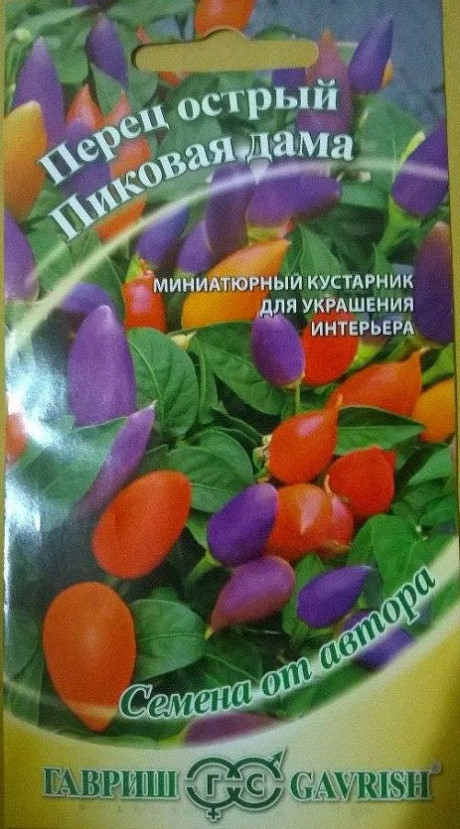 Trồng ngay ớt bi đủ màu, vừa đẹp nhà mà lại hợp phong thủy - Ảnh 3 Trong ngay ot bi du mau, vua dep nha ma lai hop phong thuy - Anh 3
